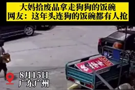 大妈拾废品拿走狗狗的饭碗，网友：这年头连狗的饭碗都有人抢视频封面