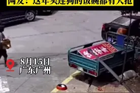 大妈拾废品拿走狗狗的饭碗，网友：这年头连狗的饭碗都有人抢视频封面