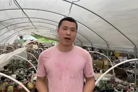 仙人球闷养注意事项如果不懂看这条视频哦##仙人球种植视频封面
