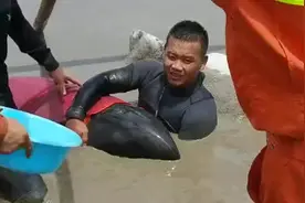 遇到类似情况，请第一时间报警或者和当地渔业部门联系！#报警视频封面