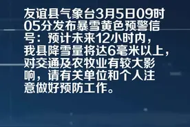 友谊县气象局发布暴雪黄色预警[III级/较重]视频封面