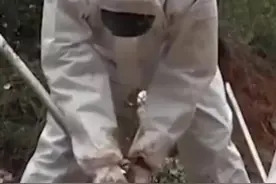 #东航 MU5735撞击点附近，反复探测后确定已无生命迹象，救援人员一寸寸搜寻，用手一点点挖出遗物#空难 #最新消息 #灾难无情 #救援 #现场 #默哀视频封面