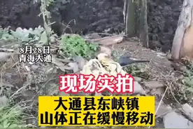 #山体移动 附近群众已经在政府帮助下安全撤离@抖音短视频 视频封面