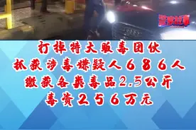 陕西渭南抓捕毒贩现场枪声大作！奋战数月抓获涉毒嫌疑人686人！  @DOU+小助手视频封面