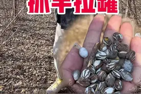 #疫情下的生活 #东北人 这玩意也太好吃了吧视频封面