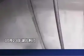 小狗进入电梯，狗绳被卡瞬间被吊起。外卖小哥发现后被吓一跳，随后上前将小狗解救。#外卖员解救被卡电梯的小狗视频封面