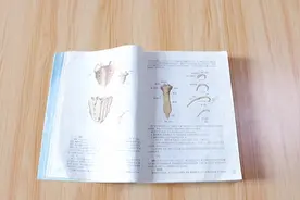 AR扫描书本，实现图片3D化 #AR #解剖 #解剖图 #维萨里解剖视频封面