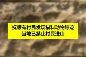 抚顺有村民发现猫科动物踪迹视频封面