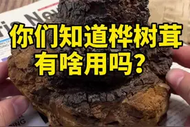 你知道桦树茸有啥用吗？#桦树茸#进口食品#好物推荐#热门#俄罗斯视频封面