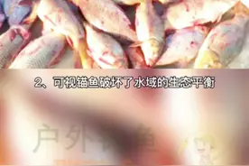 告诉你为什么要禁止可视锚鱼，可视锚鱼这么多危害你知道吗？#锚鱼 #野钓 #钓鱼视频封面
