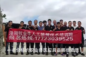 一名合格的兽医应具备哪些素质#泽刚牧业#兽医培训#牛冻精销售视频封面