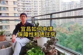 政府保障性租赁住房，你知道如何申请吗？#宜昌租房 #伍家岗视频封面