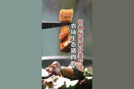“梅花肉”“五花肉”“梅头肉”分不清？今天给大家详细介绍一下农场沿用了十几年的猪肉分割方法#优质农产品 #生态养殖视频封面