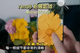 oppo Reno8 pro的马里亚纳到底有啥用？拍一张照片确实惊艳到我了视频封面