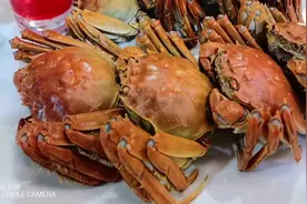 酒城杰哥老父亲六十大寿，几弟兄从中午喝到晚上！#酒城肥肠鸡视频封面
