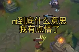 nt是什么意思视频封面