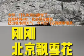 刚刚，北京飘雪花！视频封面