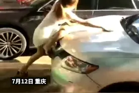 #女子爬上车头怒踩挡风玻璃 当时一名男子正在车内视频封面