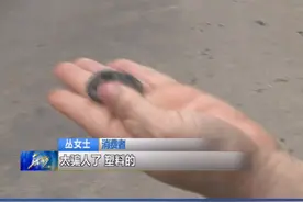 蛇酒喝了两年，结果蛇是塑料的！？#消费视频封面