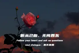 “听从己心，无问西东”#罗翔人生哲理 #罗翔 #人生哲理视频封面