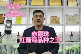 赤霞珠，葡萄品种之王#葡萄酒 #企业家视频封面