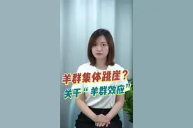 知事典 | 河南某地羊群集体跳崖，你是“羊群效应”中的羊吗？视频封面