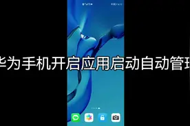 华为手机开启应用启动自动管理#华为手机 #玩机技巧视频封面