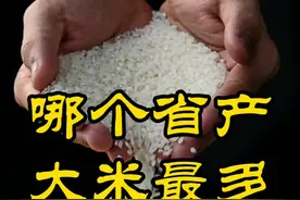 全国各省#大米 产量#排行榜 哪里的大米最好吃?@抖音短视频 #粮食 #黑龙江视频封面