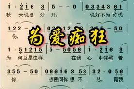 #8度音符 #经典老歌 #为爱痴狂 #为爱痴狂简谱 #为爱痴狂吉他谱 视频封面