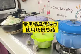 市面上常见锅具优缺点总结。 不粘锅，不锈钢锅，铁锅，珐琅锅。视频封面