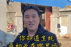 你知道生蚝最初是长在哪里吗？带大家看看，明年你们吃到的生蚝现在的样子！#我的生活日记 @DOU+小助手视频封面