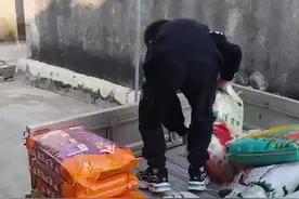 兄弟俩帮爸爸卸大米 动作娴熟配合默契 爸爸：减轻了很多负担@仙地米铺 视频封面