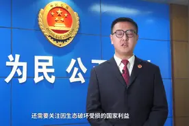 【保山检察】公益诉讼宣传——环境污染、破坏生态要承担什么责任视频封面