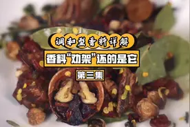 卤菜香料组方的核心原则无保留分享-第三期！调和型香料详解视频封面