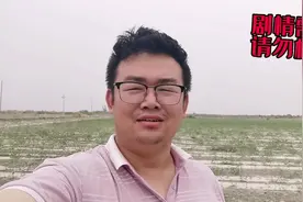 千万不要在刮风的时候打药#无人机打药 #飞防 #病虫害防治视频封面