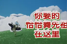 #光遇 #sky光遇 自带20个不同动作的先祖视频封面