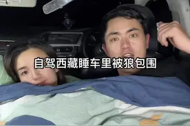也不知道会不会有狼群来啊，明天给大家好好拍一拍珠穆朗玛峰。视频封面