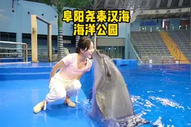 #淮南 淮南周边适合情侣约会，遛娃的好去处！这个国庆，嗨起来～视频封面