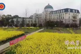 #学校 #校园 #大学 #开学季 锦城等你视频封面