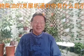 生物柴油产业的发展机遇对你有什么启示？视频封面