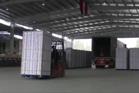 4万斤猕猴桃踏上去泰国的路程，泰国人民将在家门口吃到来自“三遗”之城的甜“猕”味道。#都江堰 #泰国 #猕猴桃#出口@抖音短视频 视频封面