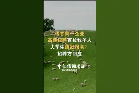 传甘肃一企业高薪招聘百位牧羊人，大学生踊跃报名？ 招聘方回应#甘肃 #高薪 #招聘 #放羊 #大学生 视频封面