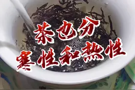 茶也分寒性和热性！#涨知识 #茶 #茶知识 #茶生活 #茶叶 @抖音短视频视频封面