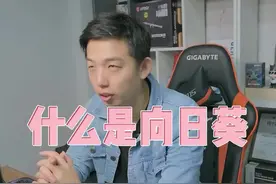 向日葵到底是什么，具体怎么使用呢？