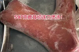 这个鹿茸煲汤嫩极了！#鹿茸 #养生 #泡酒 #农村生活 #梅花鹿视频封面
