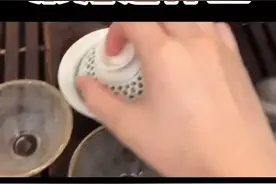 最近很多人问我，什么是茶宠？大概是这样…#宠爱里云社区 #背锅侠图图 #dou上热门 #茶宠视频封面
