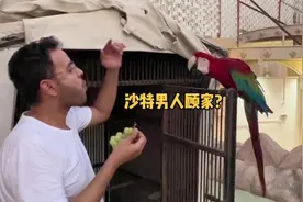 沙特阿拉伯人的家庭日很固定，在沙特时老公可以随便出门视频封面