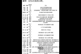 #广东麻将规则 规矩是死的，人是活的，规矩不同互相尊重视频封面