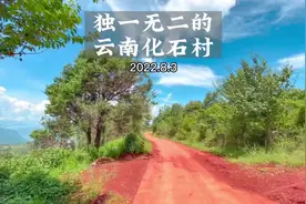 云南有个化石村，房子是用三亿年前的化石盖得，全国独一份视频封面
