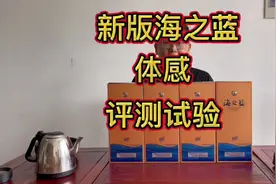 新版海之蓝体感盲测试验#白酒 #绵柔型白酒 #海之蓝 #洋河视频封面